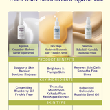 Skin Hero Calendula + 2% Bakuchiol Bio-Retinol Serum